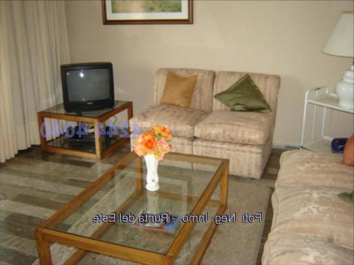 2 bedrooms Apartment in Punta del Este, Uruguay No. 3808