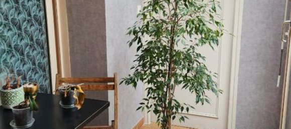 3 Schlafzimmer Haus in La Ferte-Imbault, France, Nr. 212241 12