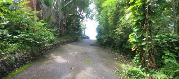 3288m² Commercial property in Kamala, Thailand No. 12545 3