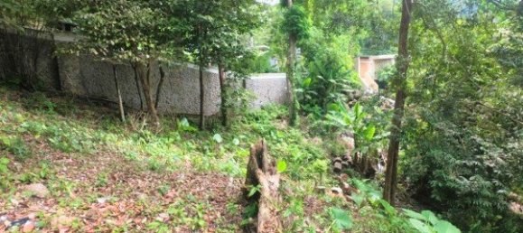 3288m² Commercial property in Kamala, Thailand No. 12545 9