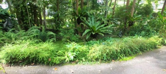 3288m² Commercial property in Kamala, Thailand No. 12545 2