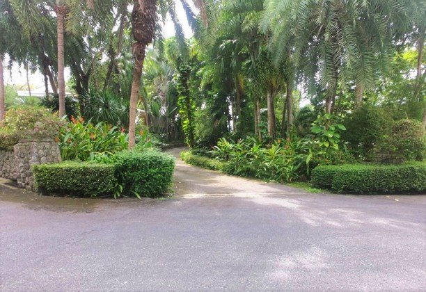 3288m² Commercial property in Kamala, Thailand No. 12545