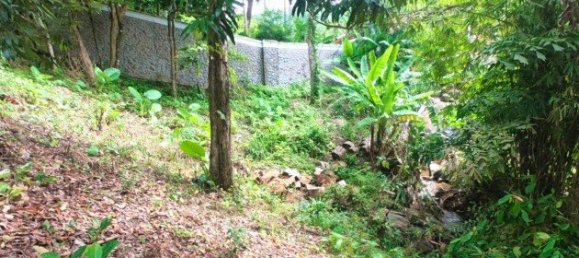 3288m² Commercial property in Kamala, Thailand No. 12545 11