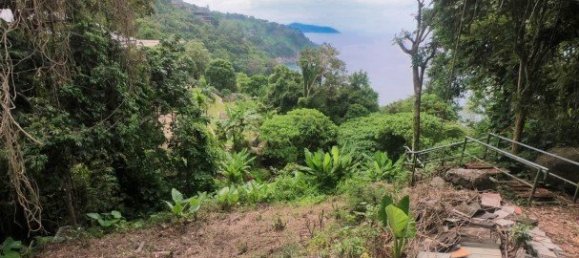 3288m² Commercial property in Kamala, Thailand No. 12545 6