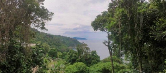 3288m² Commercial property in Kamala, Thailand No. 12545 8