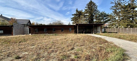 Terreno en Hoflein, Austria No. 155531 33