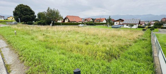  Land in Weisskirchen in Steiermark, Austria No. 218432 4