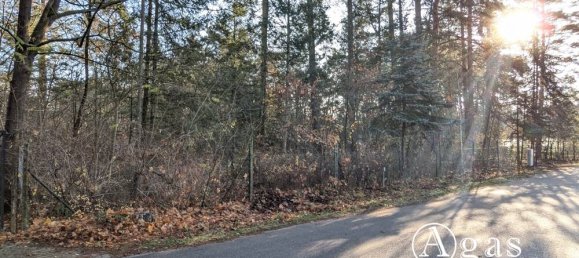  قطعة أرض في Potsdam-Mittelmark, Germany رقم 32082 2