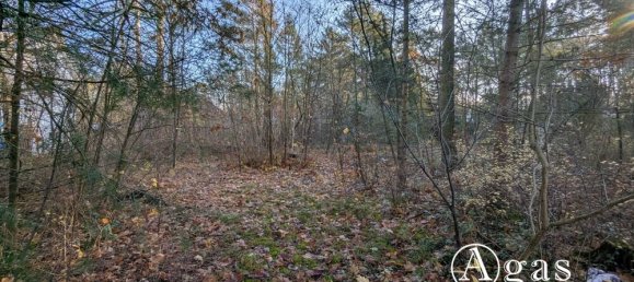  قطعة أرض في Potsdam-Mittelmark, Germany رقم 32082 5