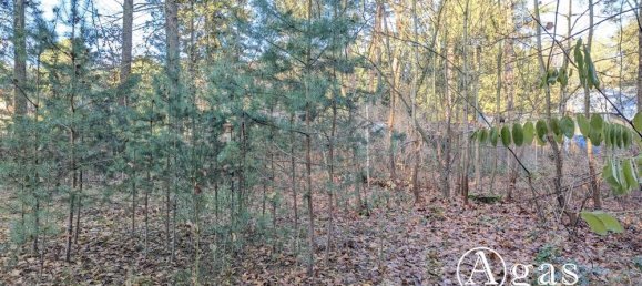  قطعة أرض في Potsdam-Mittelmark, Germany رقم 32082 6