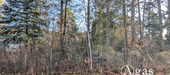  قطعة أرض في Potsdam-Mittelmark, Germany رقم 32082 3