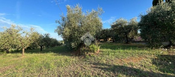 Terrain à Pescia, Italy 3510m² No. 349301 5