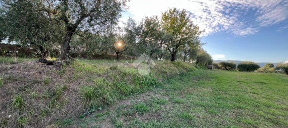 Terrain à Pescia, Italy 3510m² No. 349301 6