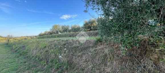 Terrain à Pescia, Italy 3510m² No. 349301 4
