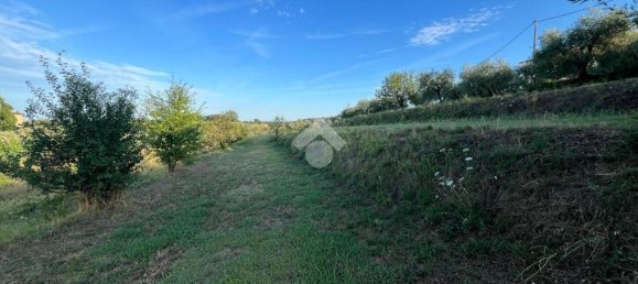 Terrain à Pescia, Italy 3510m² No. 349301 8