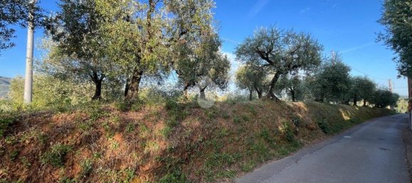 Terrain à Pescia, Italy 3510m² No. 349301 10