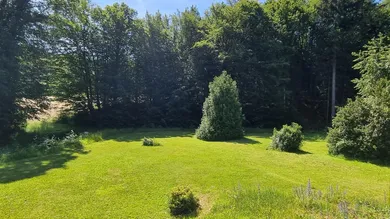 Terrain à Pressbaum, Austria No. 46550