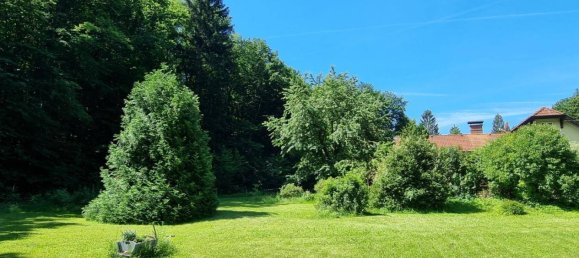 Terrain à Pressbaum, Austria No. 46550 5