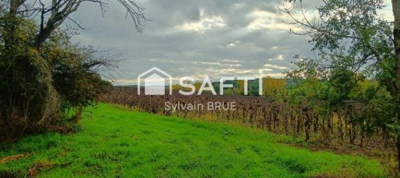 174385m² Land in Tarn-et-Garonne, France No. 309503 3