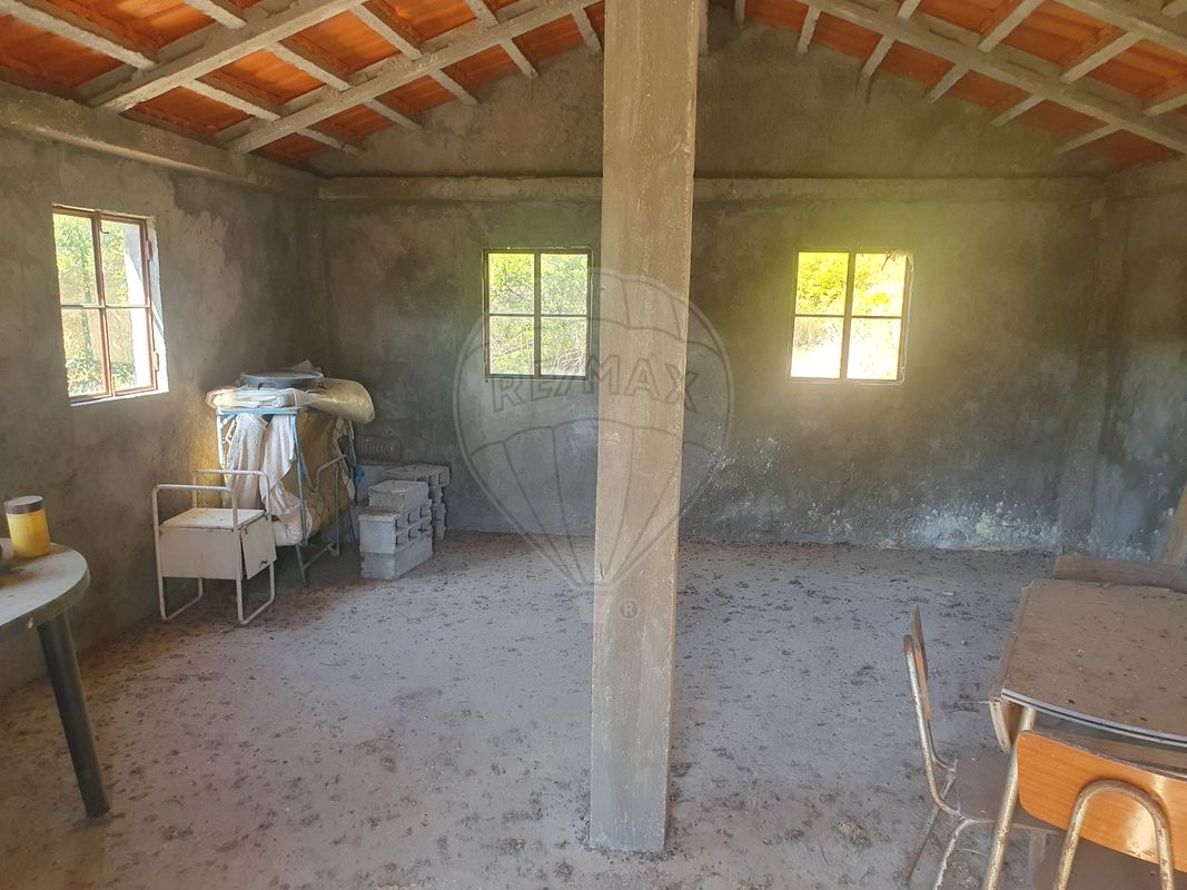 3 bedrooms House in Troviscal, Portugal No. 169854