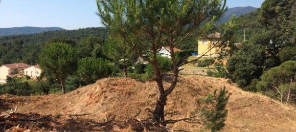 Grundstück in Barcelona, Spain 800m², Nr. 163638 7