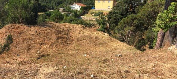 Grundstück in Barcelona, Spain 800m², Nr. 163638 10