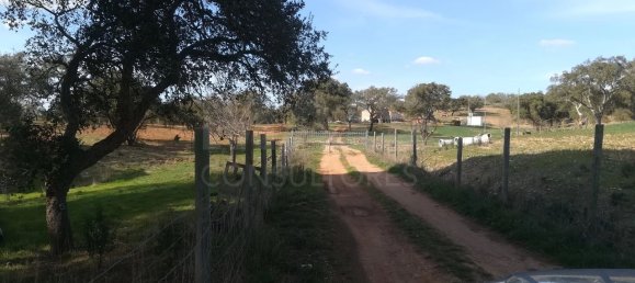 9 bedrooms Castles in Santiago do Cacem, Portugal No. 143624 4