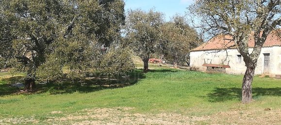 9 bedrooms Castles in Santiago do Cacem, Portugal No. 143624 9