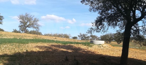 9 bedrooms Castles in Santiago do Cacem, Portugal No. 143624 6