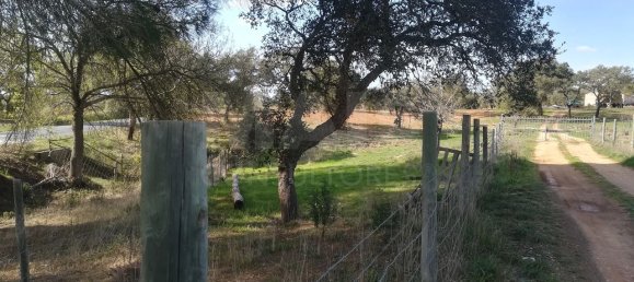 9 bedrooms Castles in Santiago do Cacem, Portugal No. 143624 3