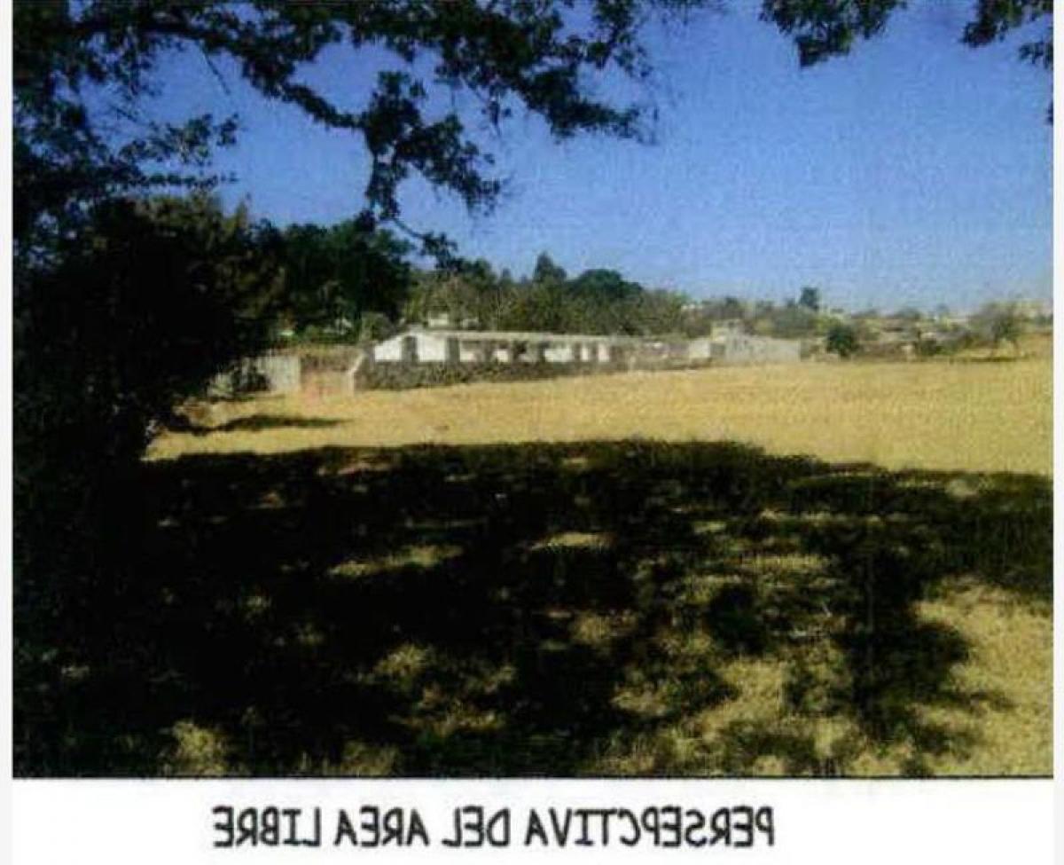 Estudio en Ixtapaluca, Mexico No. 209242