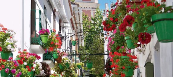 Land in Estepona, Spain No. 136650 8