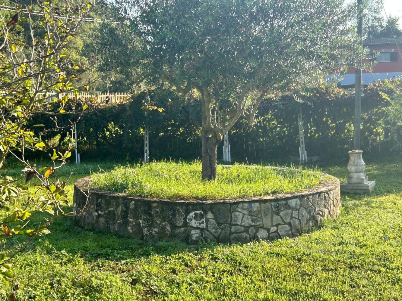 5 rooms Villa in Aprilia, Italy No. 22522