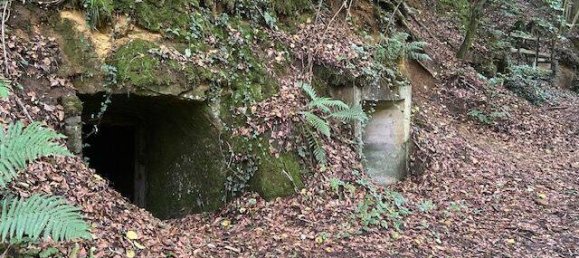 Terreno en Bamberg, Germany 20000 m² No. 262946 4