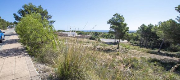  Land in Es Mercadal, Spain No. 3812 3