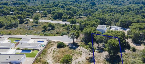 Land in Es Mercadal, Spain No. 3812 2