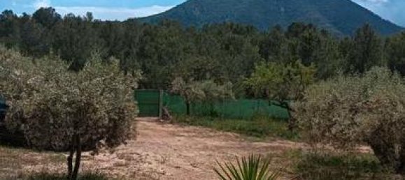 Terreno en Onda, Spain 5886 m² No. 151459 5