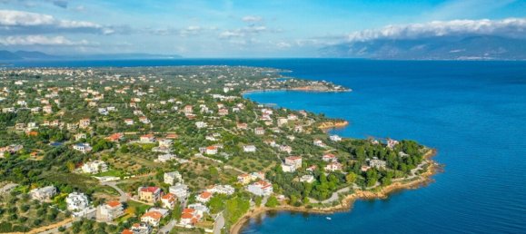 4 غرف نوم عقار تجاري في Chalcis, Greece رقم 4237 3