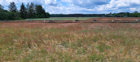 Terreno en Dahme-Spreewald, Germany No. 258826 7
