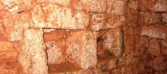 8950m² Land in Carovigno, Italy No. 255334 5