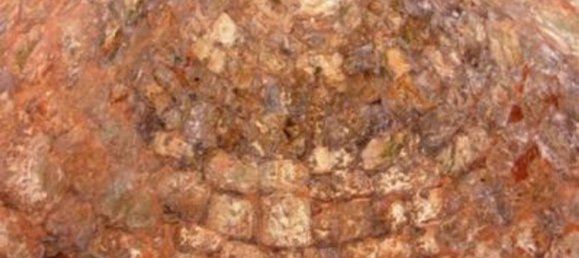 8950m² Land in Carovigno, Italy No. 255334 4