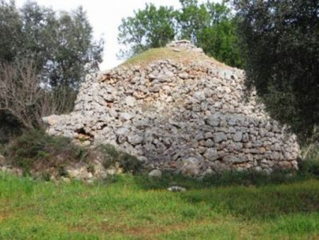 8950m² Land in Carovigno, Italy No. 255334