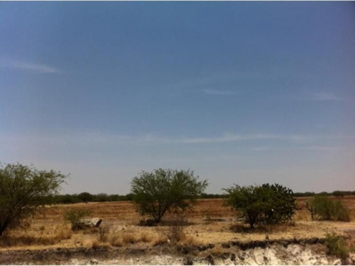 Estudio en Guanajuato, Mexico No. 146613