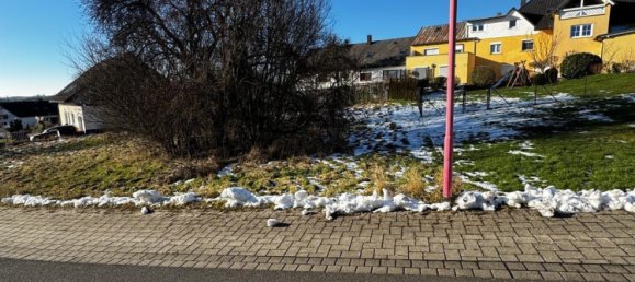  قطعة أرض في Westerwaldkreis, Germany رقم 238276 2