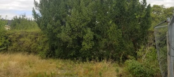 Grundstück in Gerasdorf bei Wien, Austria, Nr. 250984 2