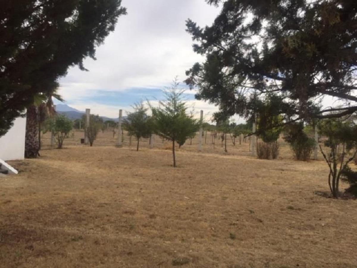 3 bedrooms House in Guanajuato, Mexico No. 158871