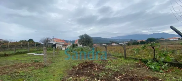 5 bedrooms House in Barbeita, Portugal No. 71816 43