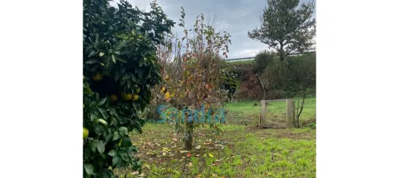 5 bedrooms House in Barbeita, Portugal No. 71816 45