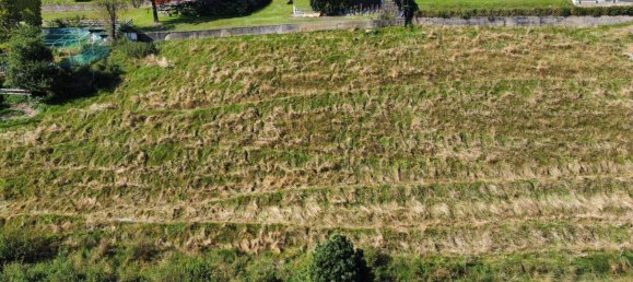  قطعة أرض في Reichenau, Austria رقم 163068 3