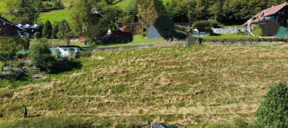  قطعة أرض في Reichenau, Austria رقم 163068 4